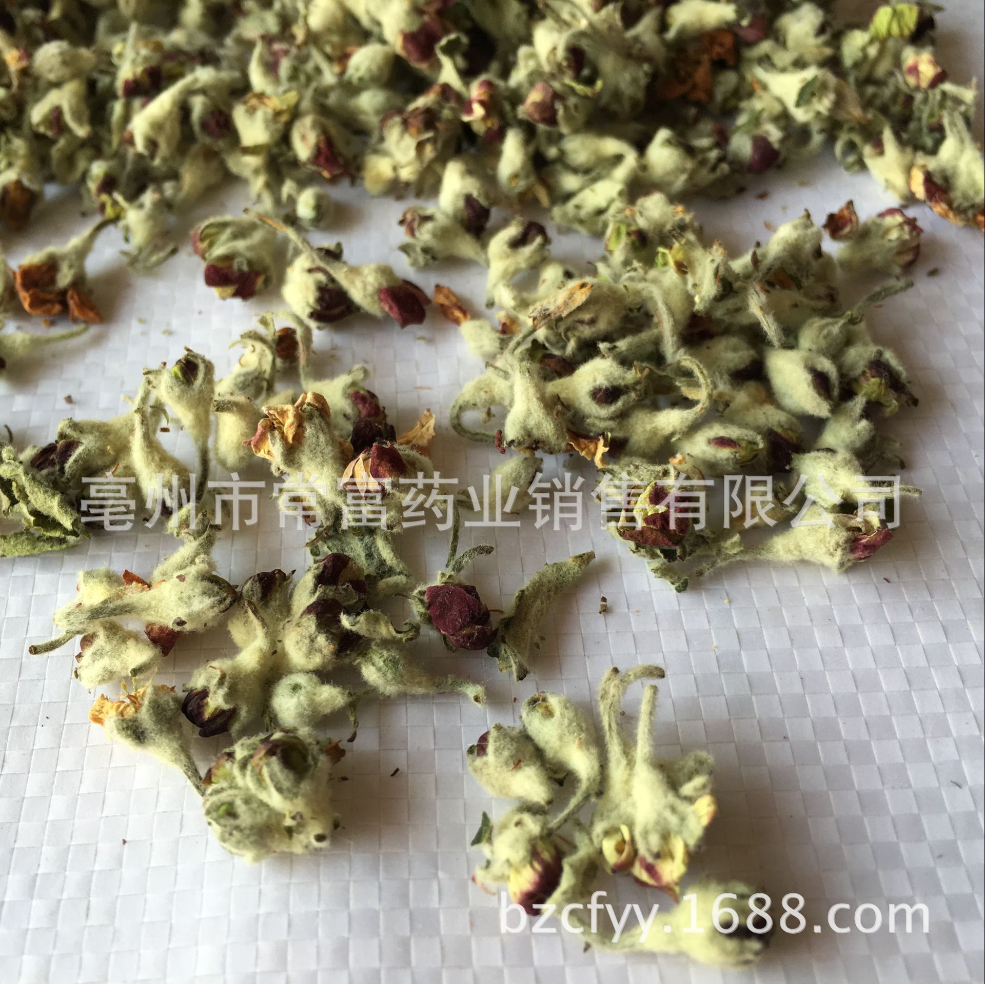 Apple Blossom Herbal Tea 苹果花 Loose Flower Tea 500g for Daily Infusions in use
