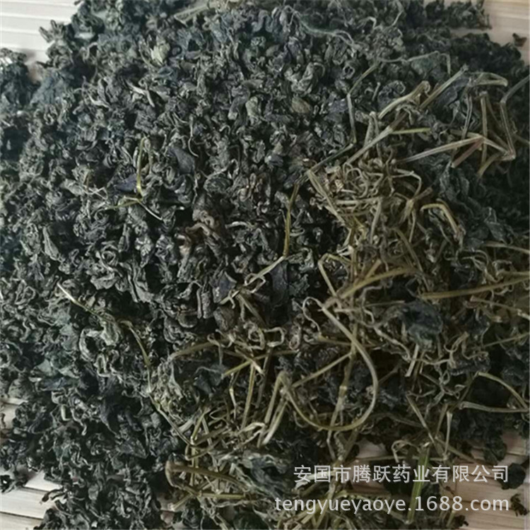 Jiaogulan Granules Gynostemma Loose Bulk Herbal Tea 500g key features