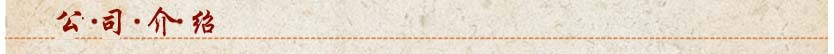 公司介绍