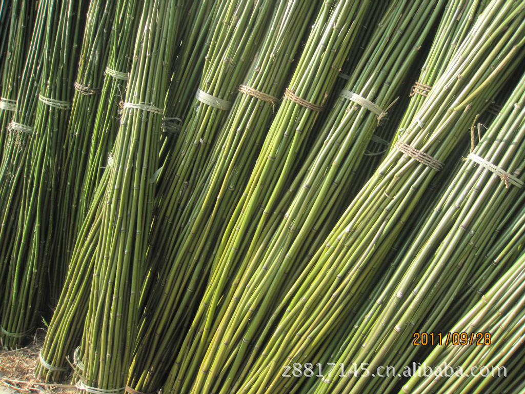 wKgAZVKwevGA3_CyAAdrXj7hJOQ472