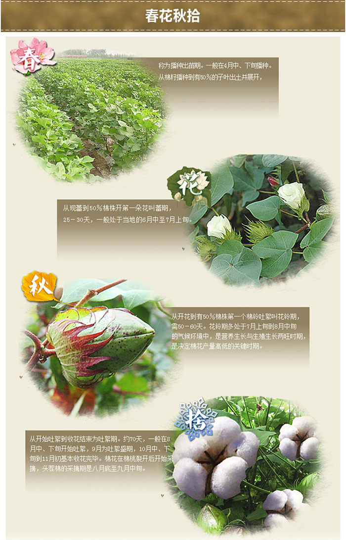 201406251205339323_x
