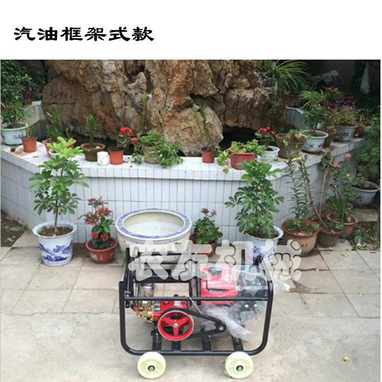 农药喷雾机 手推式机动打药机 果园喷雾机