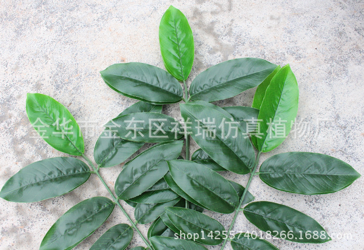 XRB-142核桃叶3叉枝27叶2