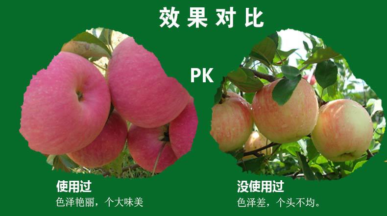 详情1_09