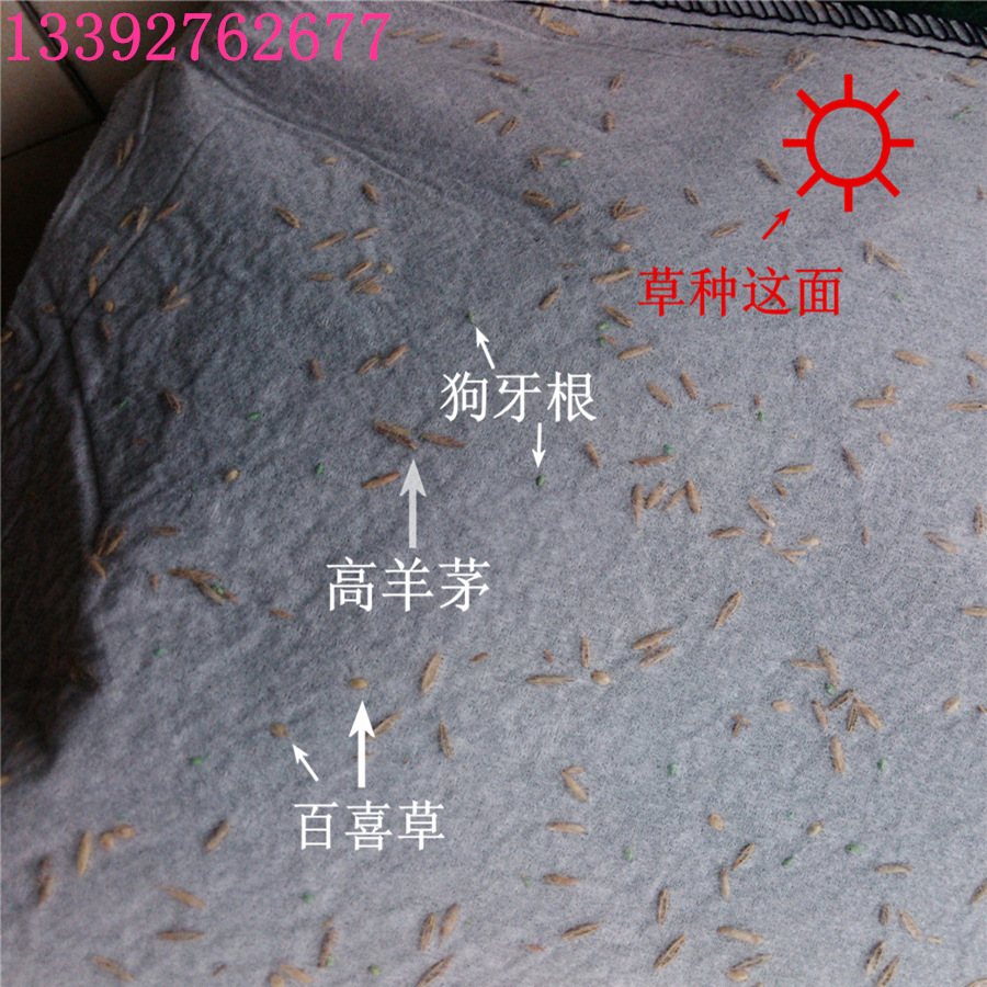 草種介紹900-4_副本