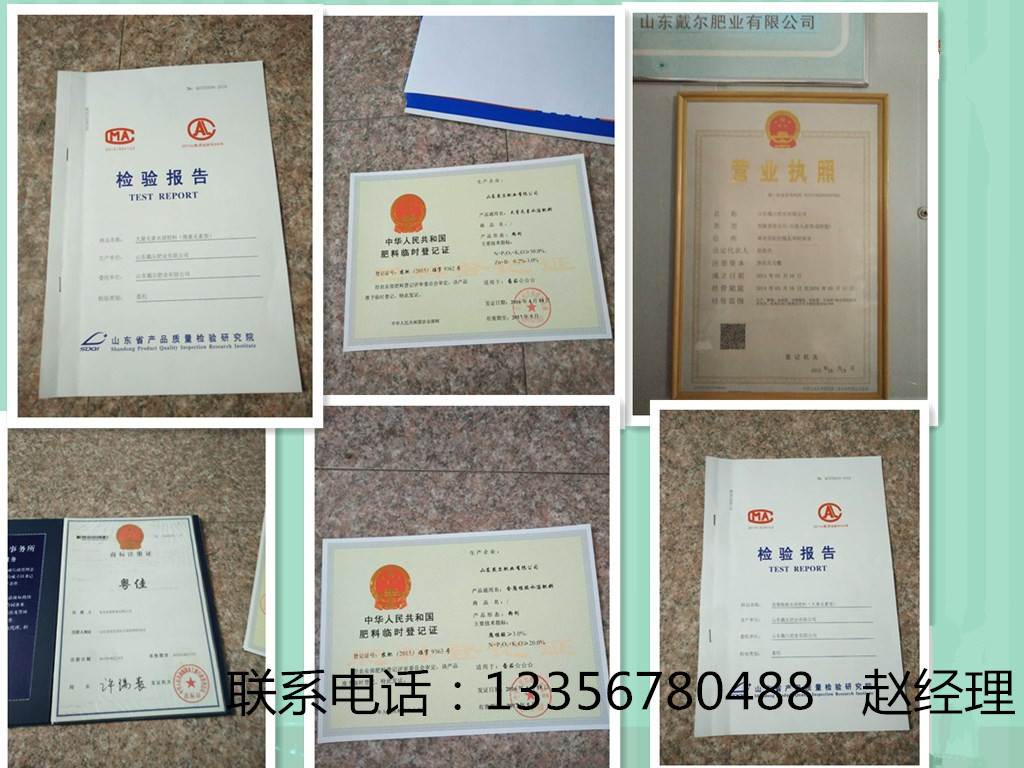 3107415189_636267711_副本