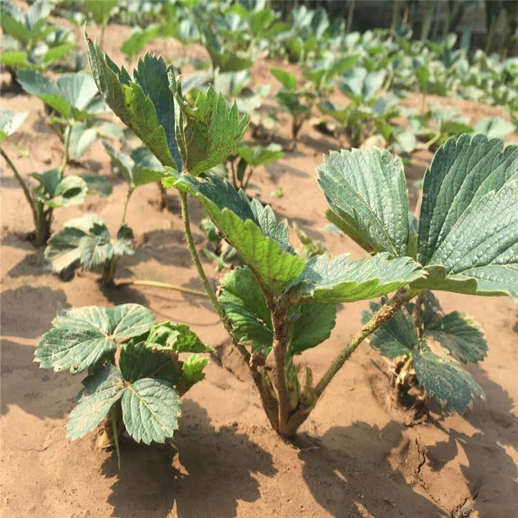 QQ图片20160704182450