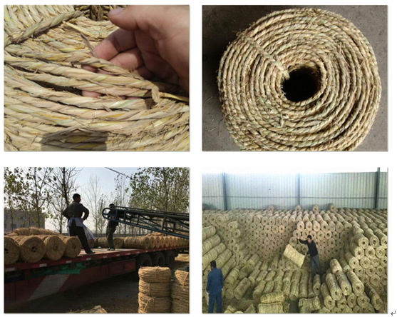 QQ圖片20160717214538