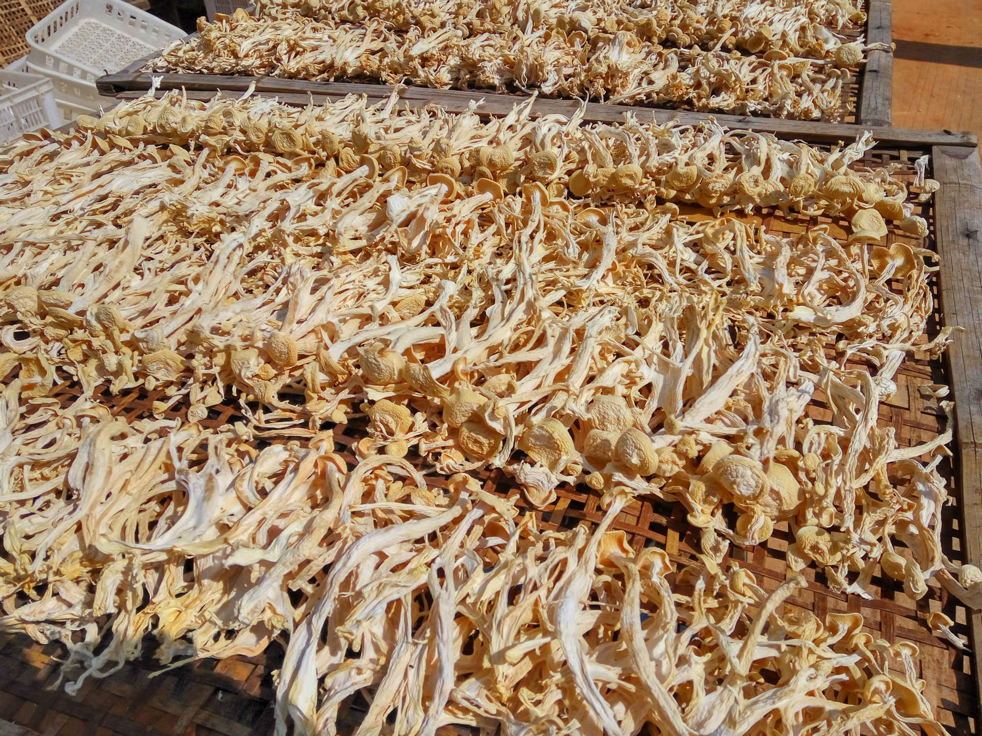 IMG_20160526_152002_HDR