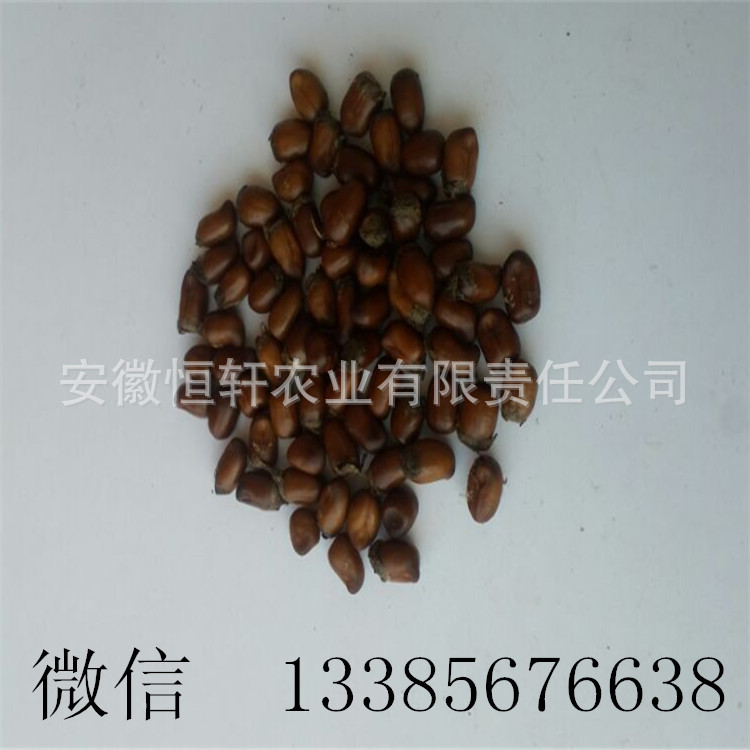 QQ图片20160814164310