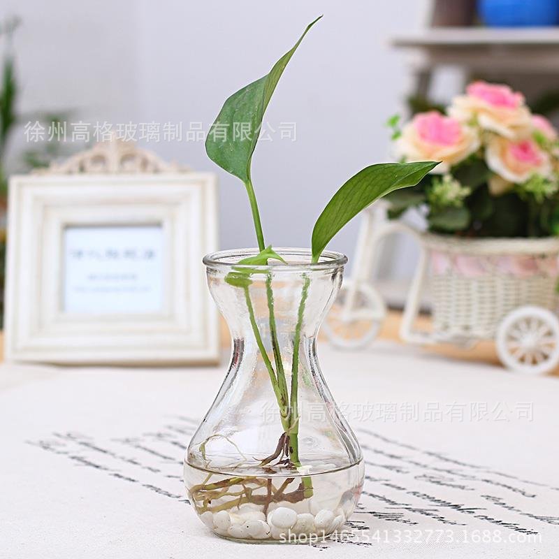风信子花瓶 水培瓶 鲜花玻璃透明花瓶 绿萝吊篮器皿玻璃插花瓶
