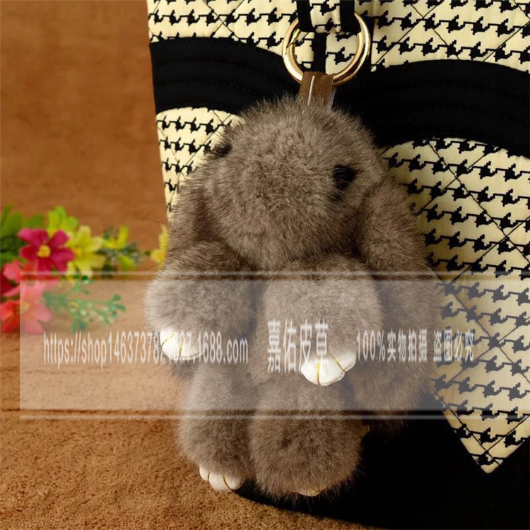 8681222167948937_副本