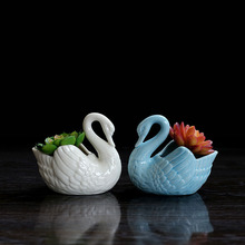 歐式簡約白色陶瓷花盆 水培多肉植物小天鵝花盆桌面花器天藍色