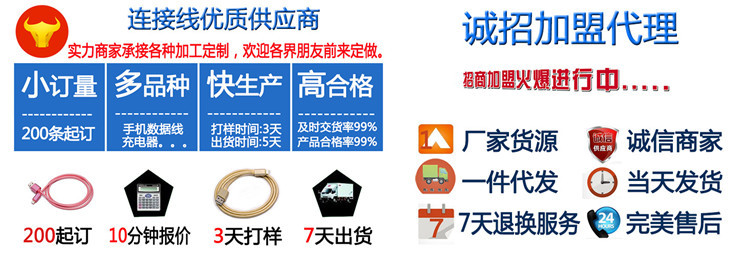 chargeur HPGZ pour téléphones APPLE APPLE - Ref 1294198 Image 32