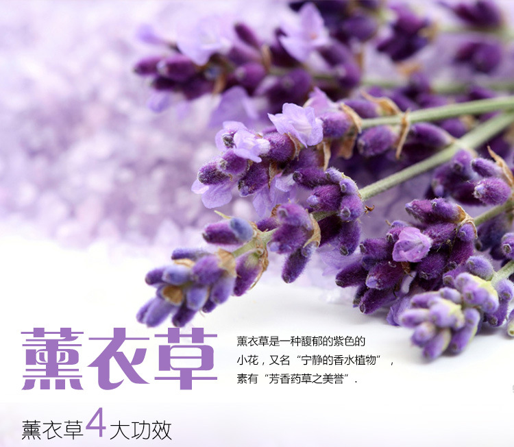 Coques pour soutien-gorge - Ref 817942 Image 7