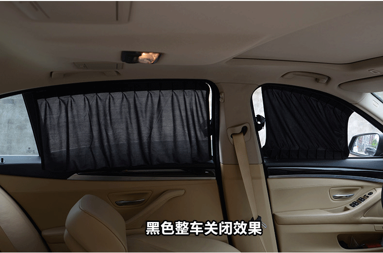 Car curtain _16