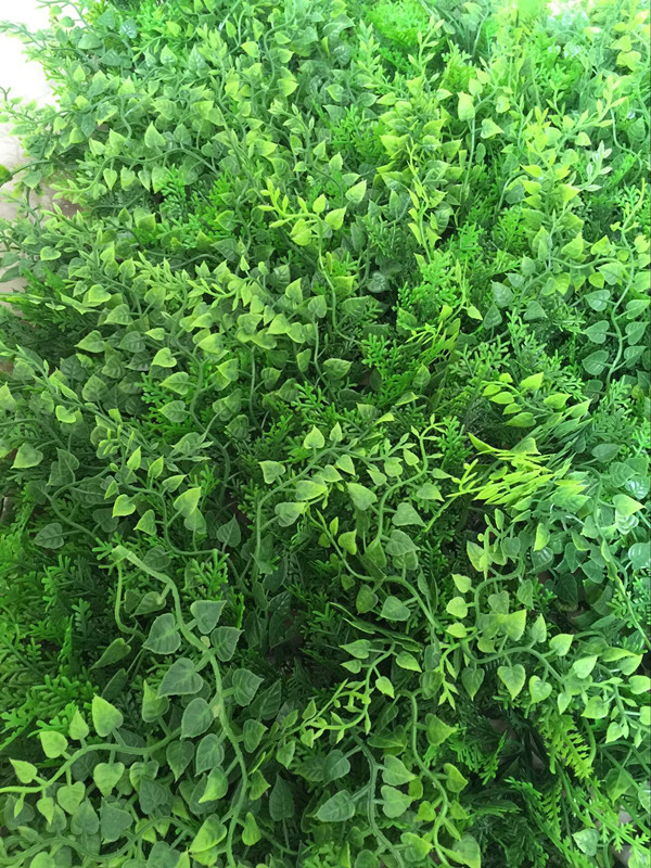 QQ图片20160707150305_副本