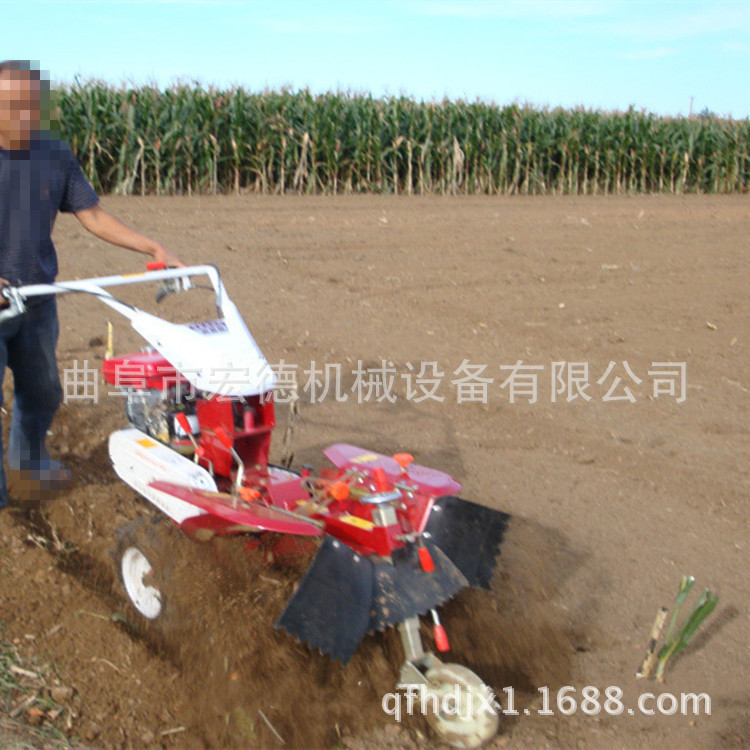 2855269585_134279468