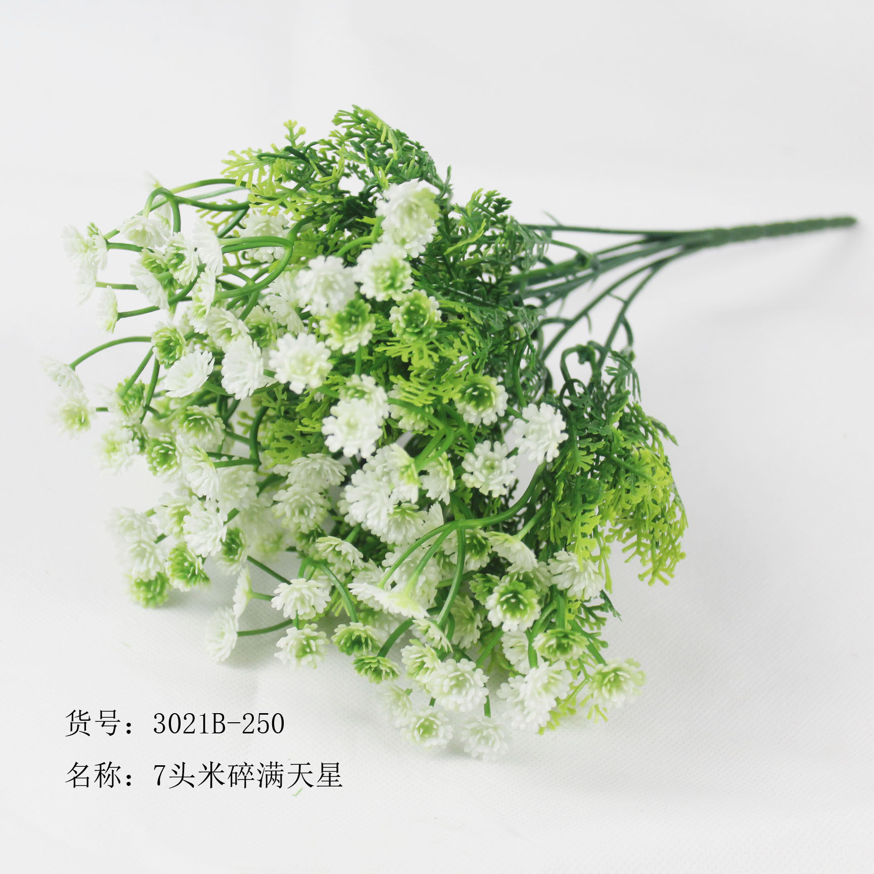 7头米穗满天星白色