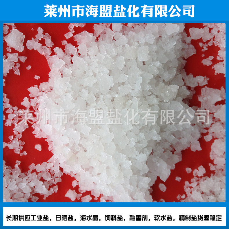 工业盐厂家 日晒原盐 袋装工业海盐 水处理批发零售