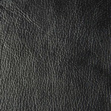 ^ӿsyֲƤ ɽƤƤ Ƥ ЬƤF؛E18