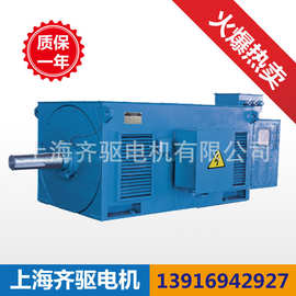 上海 紧凑型Y2-400-2极  250KW IP54 10KV 三相异步高压电动机