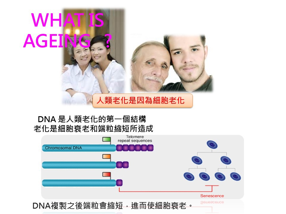 基因逆齡-時空膠囊