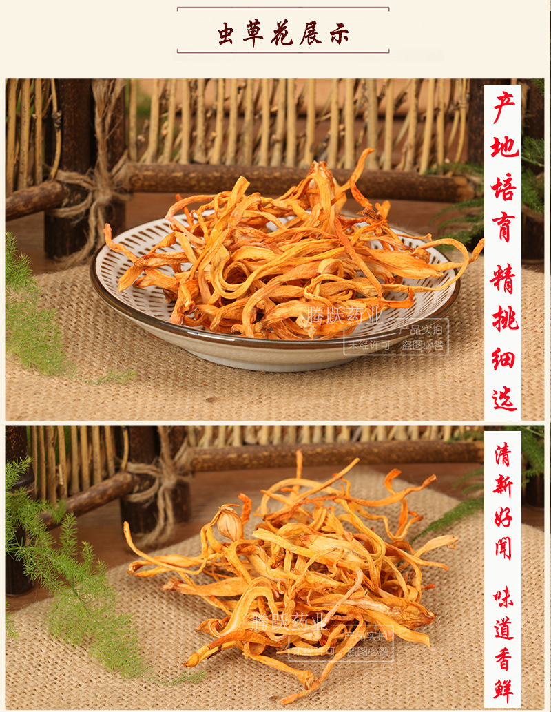 Cordyceps Flower Dried Bulk 1kg Chong Cao Hua Spore Head Culinary Herb for Soup and Tea key features