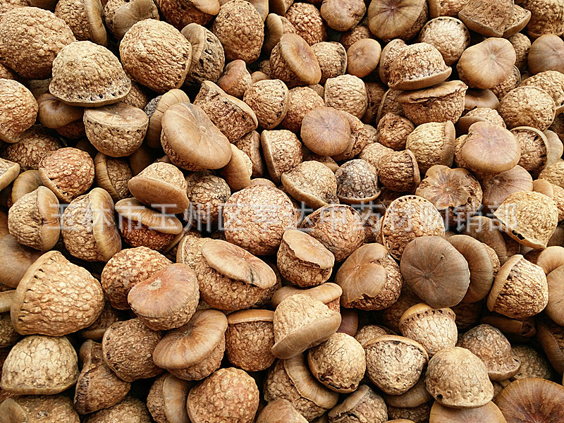 IMG_20161119_134018_副本