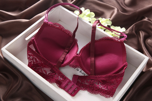9118 European and American cross-border sexy lace foreign trade AliExpress hot selling women's underwear bra set wholesale direct sales