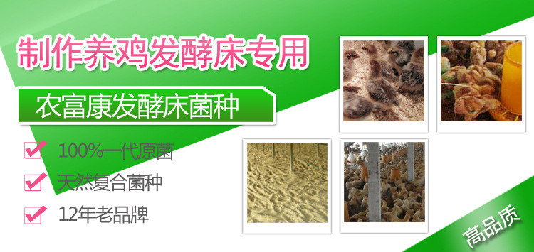 发酵床养鸡