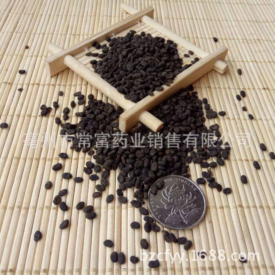 Psoralea Fruit Bu Gu Zhi Dried Whole Seeds 500g Traditional Chinese Herb from Yunnan key features