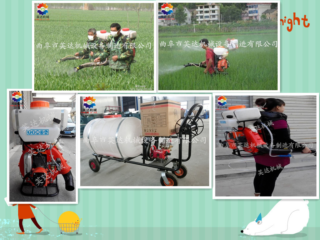 实用的汽油弥雾机 静电喷雾器 猪场烟雾 消毒设备