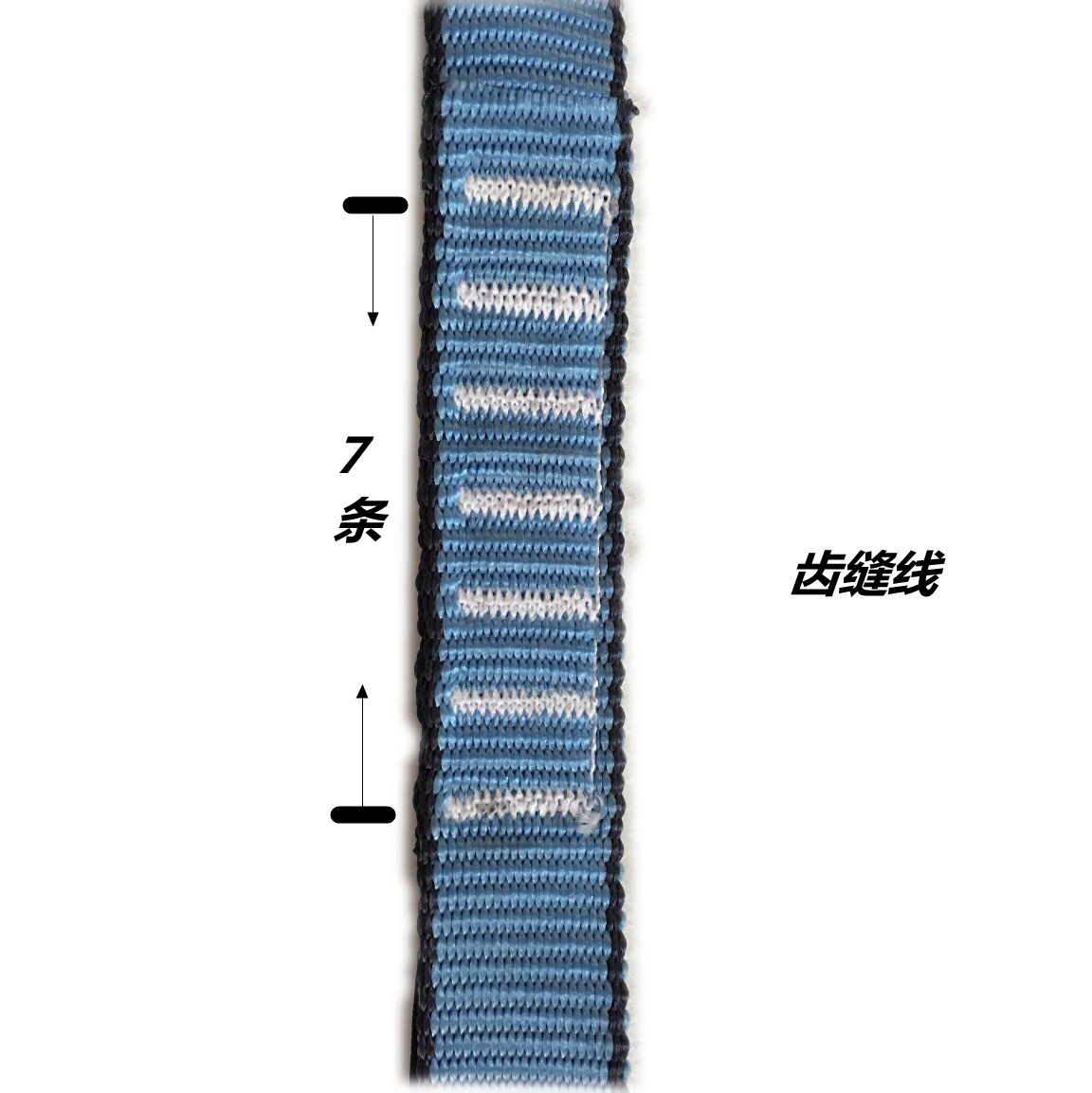 扁带图片,图片,扁带_大山谷图库