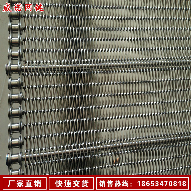 5分链条式网带