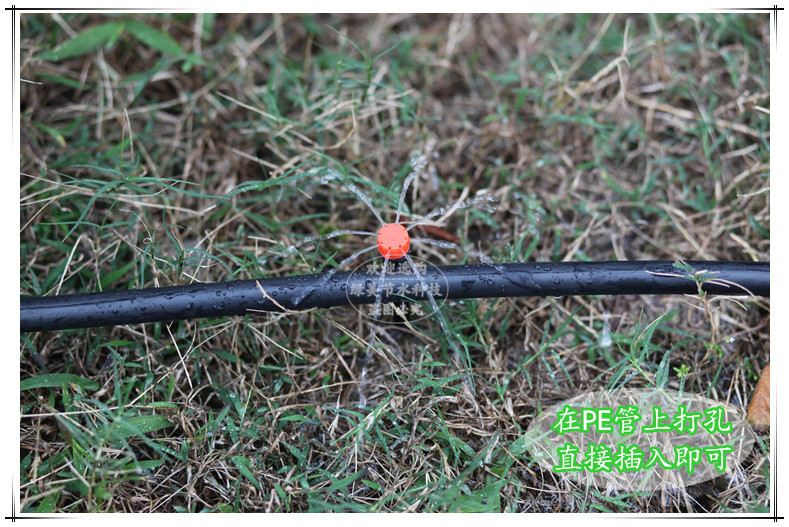 8孔地插滴头喷洒图