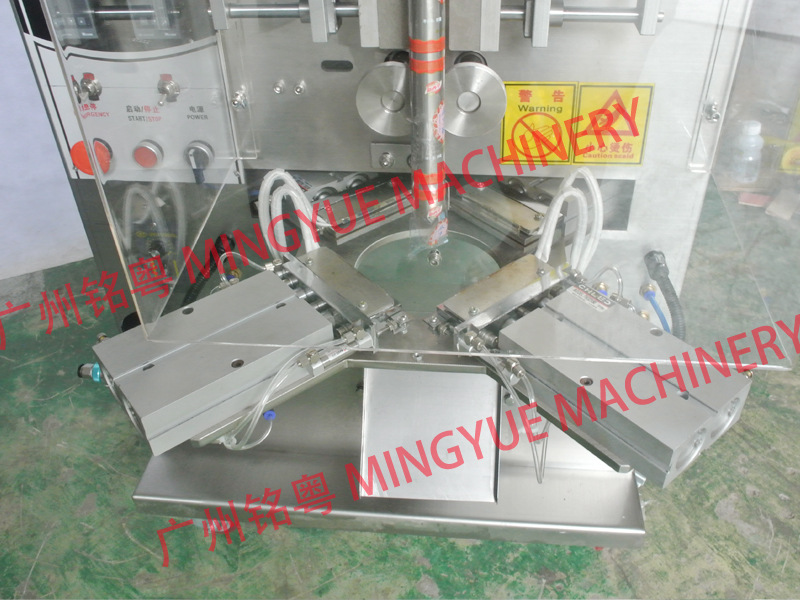 traingle bag packing machine 2