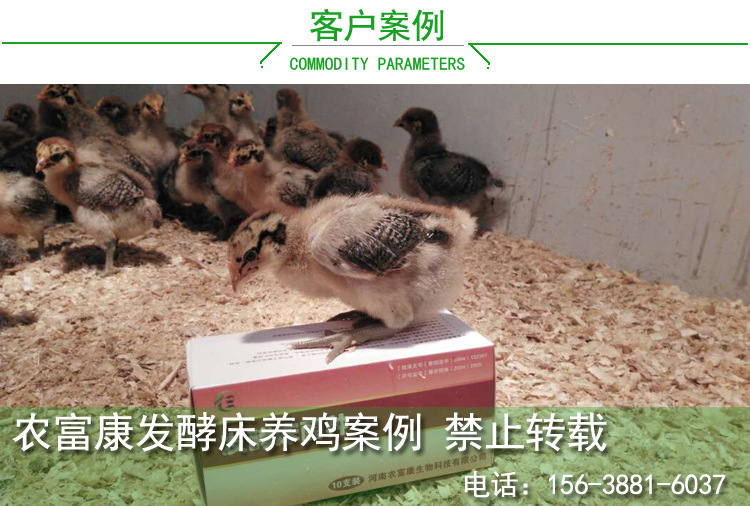 发酵床养鸡