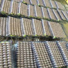 ��������108�w A+����혰׸�ĥ ����Ԫ���Ѽt�������l