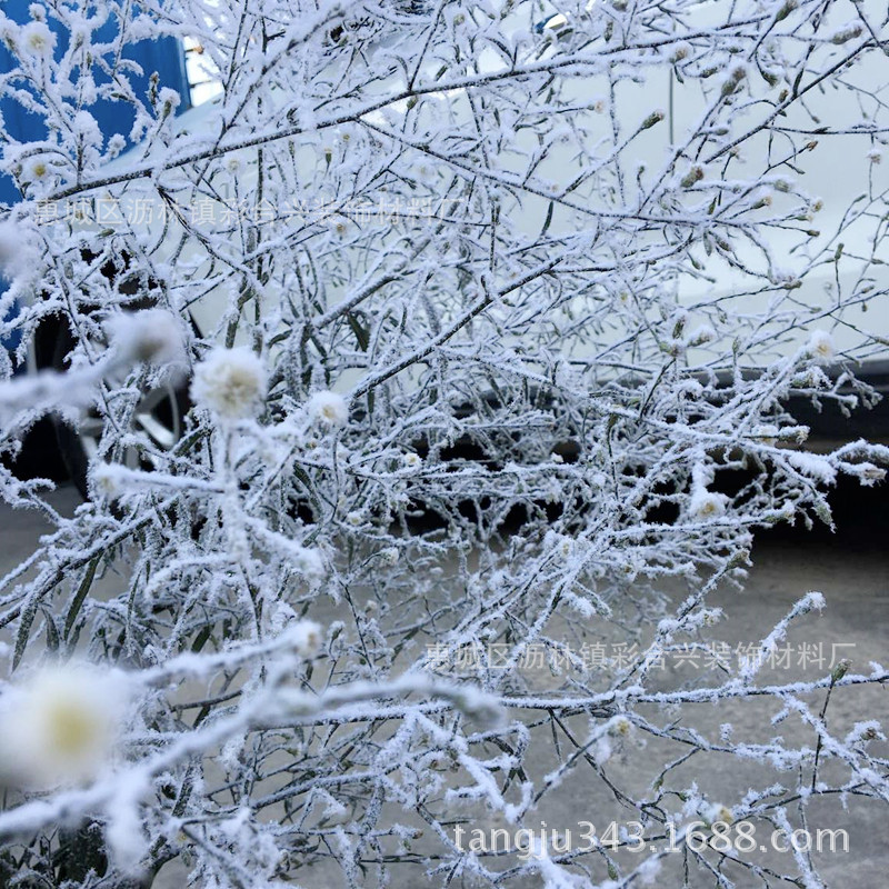 3391雪白雪绒粉 圣诞干枝枯枝雪效果装饰雪粉植绒