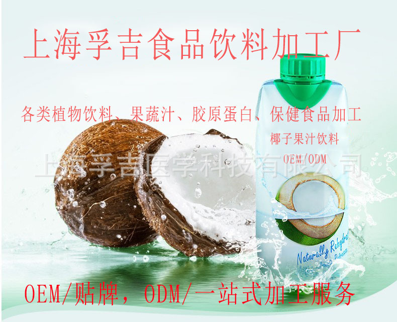椰汁果汁饮料2