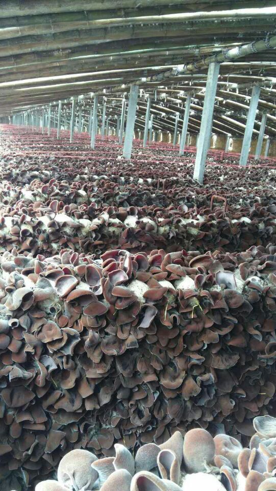 QQ图片20160418213915