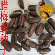 ���l�²�һ���D÷�N�� �D÷���N�� �G���е��D÷��N�� ����r�h