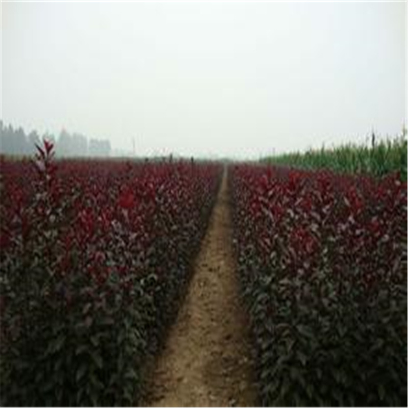 u=2269368498,1471765585&am