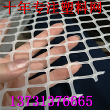 全新料塑胶 塑料 养殖网 网垫 卷网 网孔规格齐全现货供应