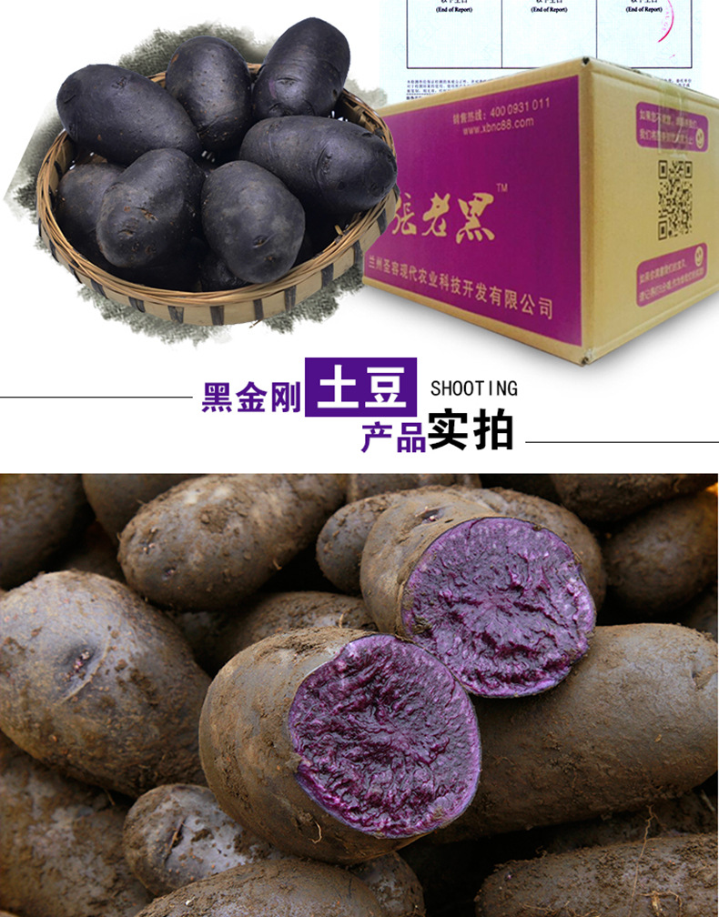 黑土豆品牌排行榜前十名揭秘