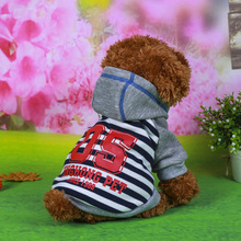 HONGHONGPET·Q¿ qlyl Sҹ