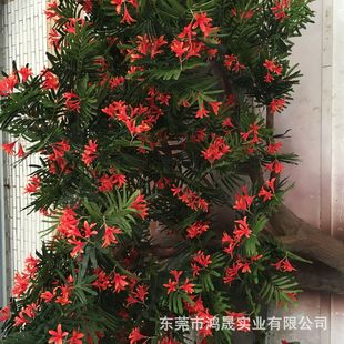 �¿�����P�˘� �t��麘��� ���^�b٘������S��ֱ�N