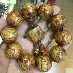 2.5���S�Ͽ�������ִ� ֩�댦�ۺ����S��������ִ����ΏS��