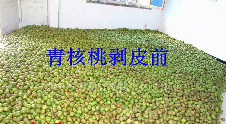 核桃专业去皮机直销 青核桃清洗去皮机 鲜核桃加工专用